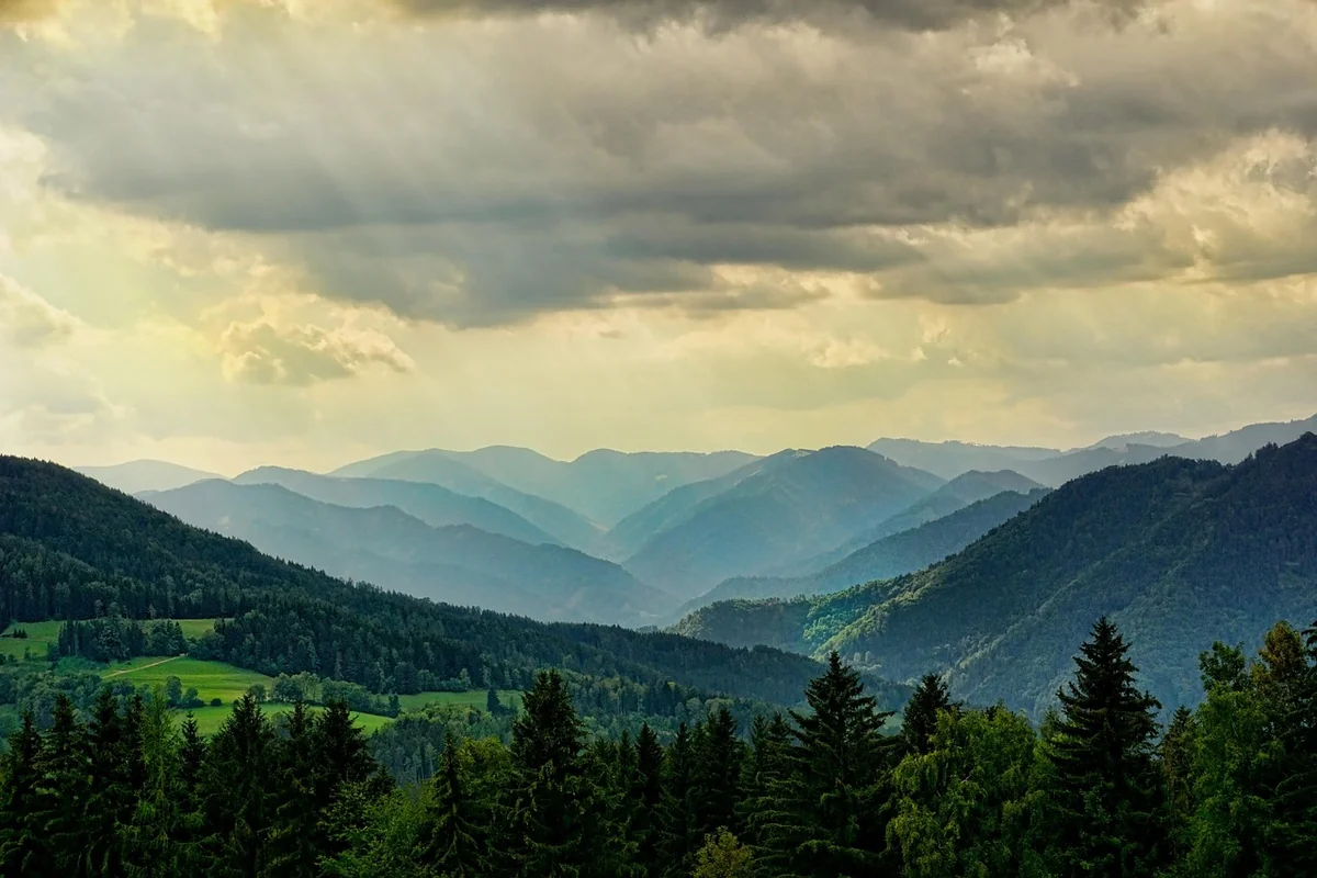 la nature