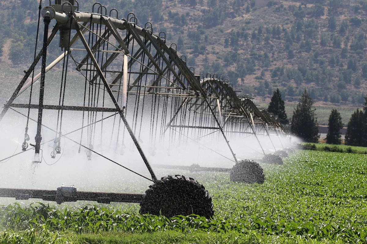 Les changements climatiques et leurs effets sur l'agriculture mondiale en 2026
